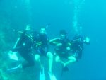 Recreational Scuba Divers
