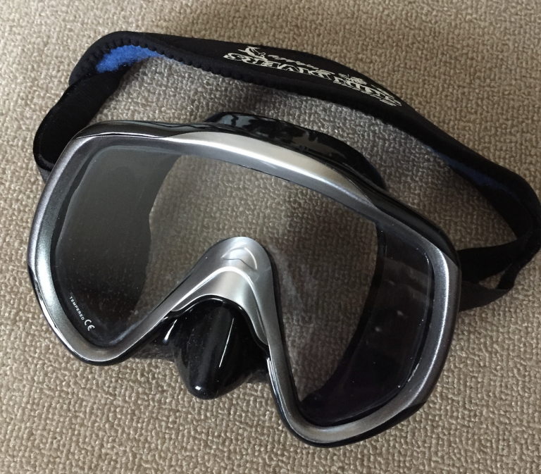 Dive Mask