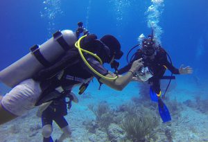 Diver Panicking