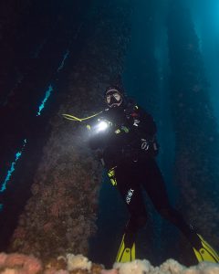 Diver With Dive Light