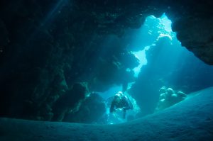 Diver Exploring Crevices In Red Sea