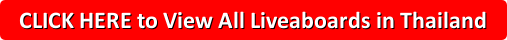 Click Here to View All Liveaboards in Thailand