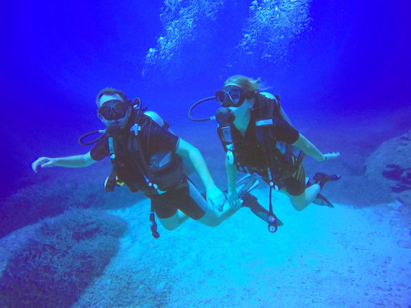 Dive Buddies Together