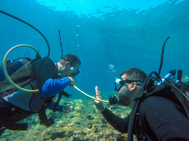 Diver Out Of Air Buddy Breathing