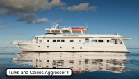 Turks And Caicos Aggressor II Liveaboard