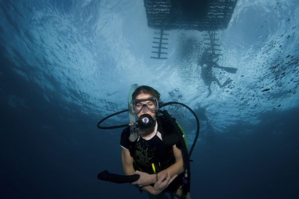 Diver Waiting To Climb Ladder