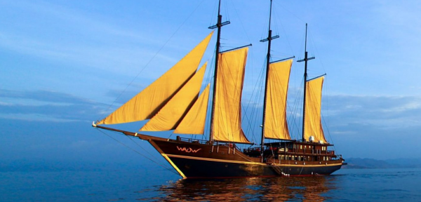 MSY Waow Liveaboard In Indonesia