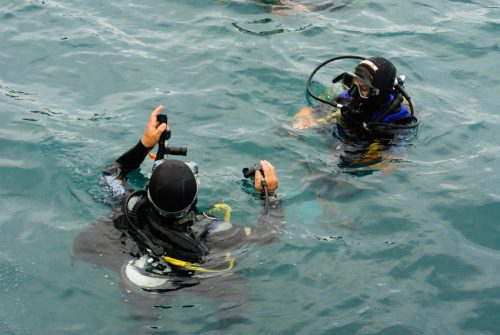 Buddy Divers Preparing To Descend