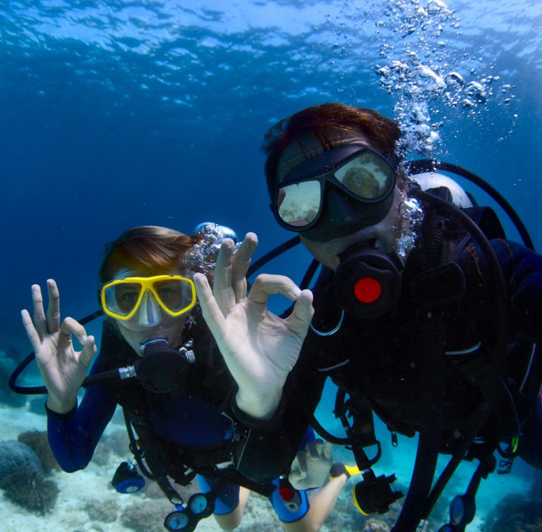 Dive Buddies