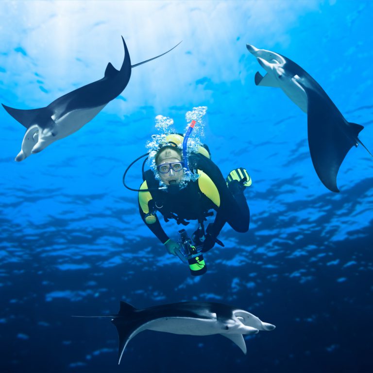 Dive having Fun With Manta Rays