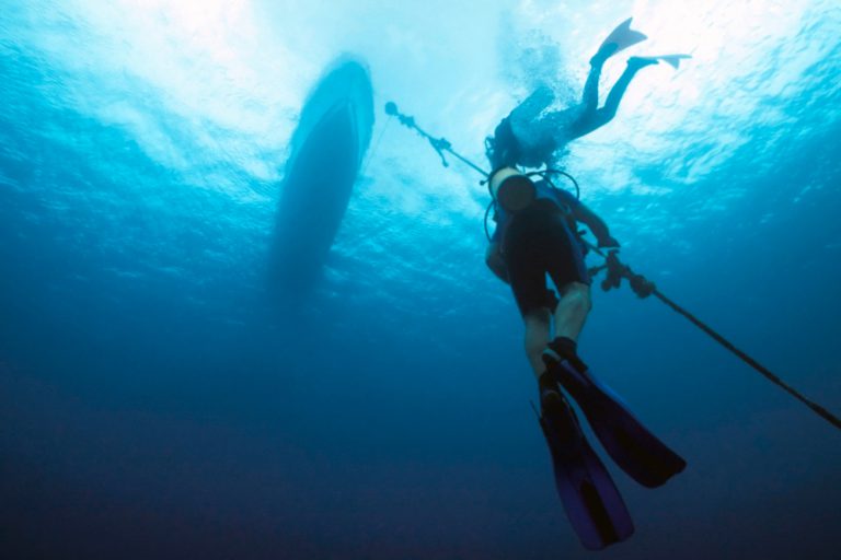 Divers Ascending
