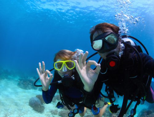 Buddy Divers Close Together