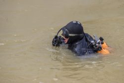 Diver Looking For Buddy at Surface