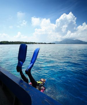 Diver Doing a Backroll Into the Water