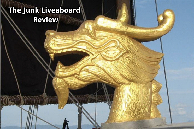 The Junk Liveaboard Review Featured Image