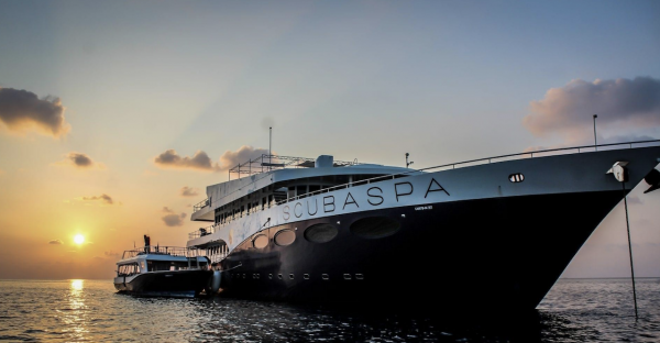 This is the Scubaspa Yang liveaboard in the Maldives