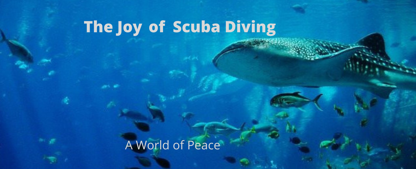 The Joy of Scuba Diving
